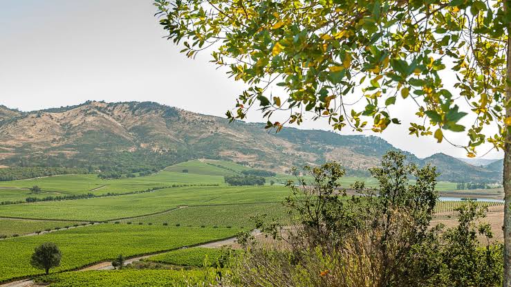 Napa County, CA